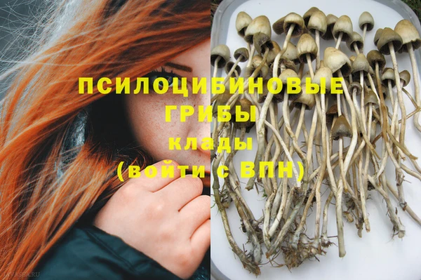 молекула духа Баксан